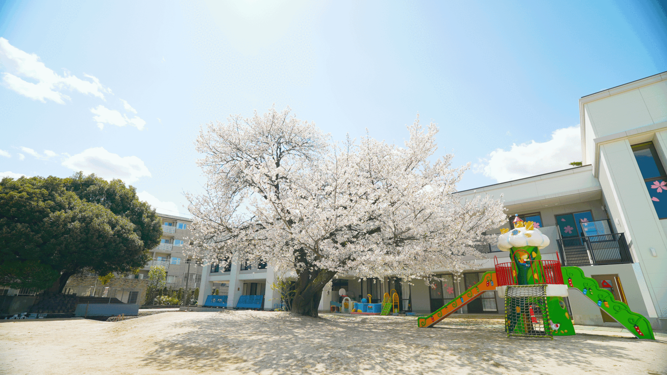宮崎二葉幼稚園 – 神奈川県川崎市にある幼稚園です。