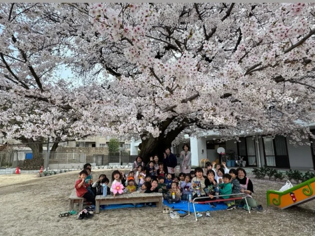 宮崎二葉幼稚園 体操服② 川崎市宮崎二葉幼稚園制服（女の子）一式体操服 (みすず) 宮前平の